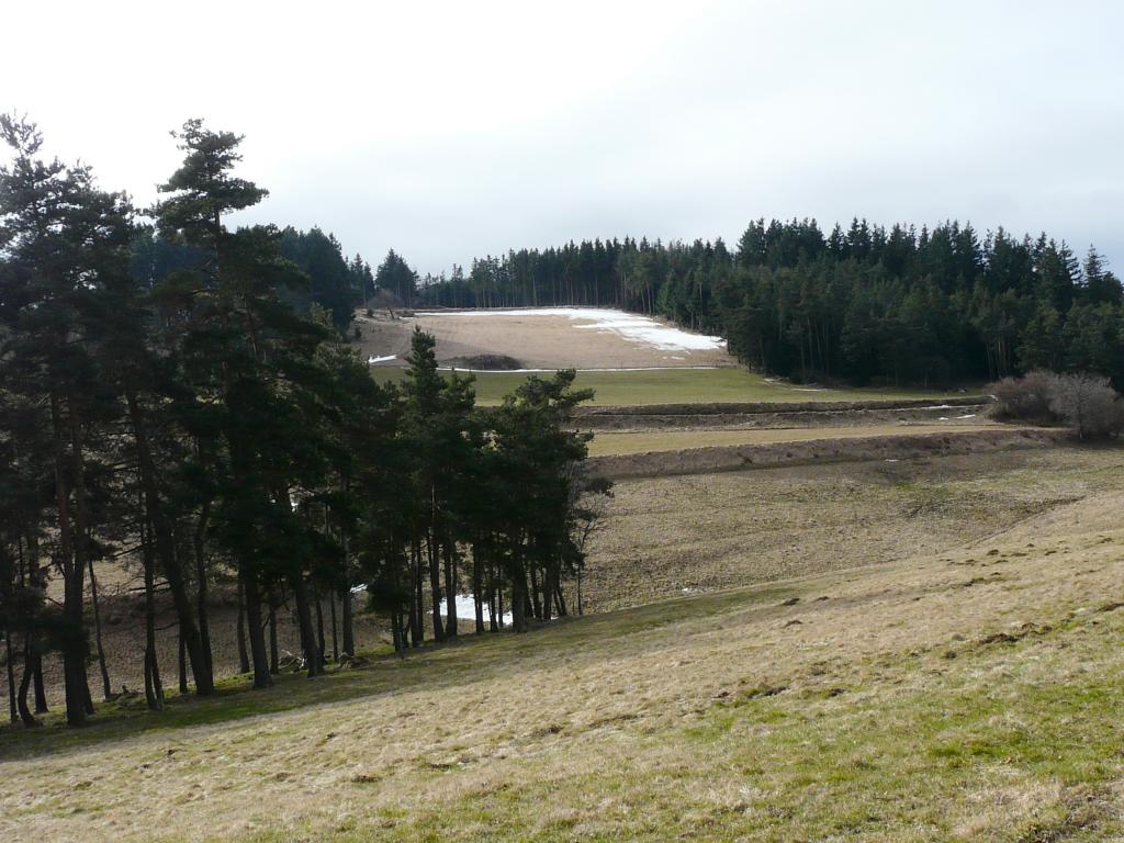 Burdignes, 08-03-09, 11-01.jpg